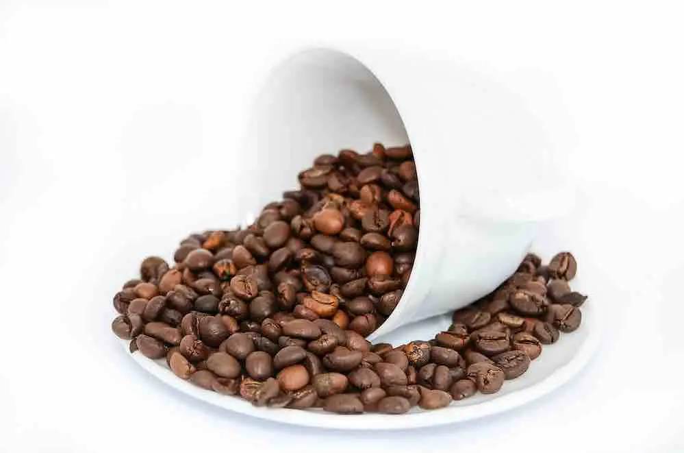 best espresso coffee beans supplier australia